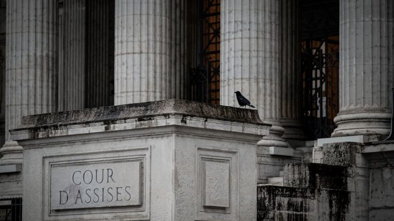 Fransa: Gurbetçi Türk, iki tecavüz ve altı cinsel saldırı suçundan hakim karşısında