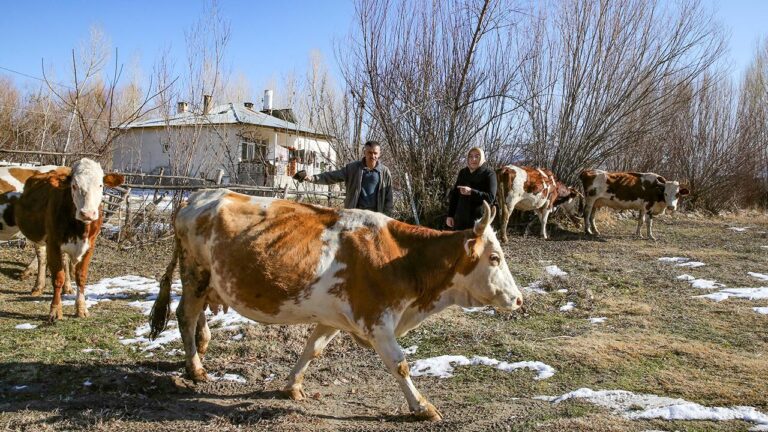 Engelliler İŞKUR’un maddi desteğiyle çalışma hayatına giriyor