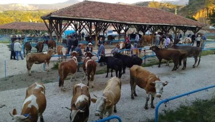 Bir Bölgede Hastalık Alarmı: Mağdur Pazarı kapatıldı, 25 mahalle ve 15 köy karantinaydı!