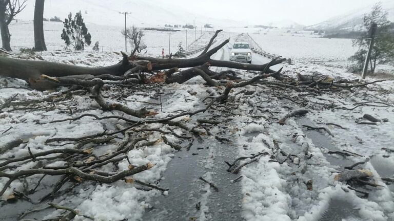 Güney Afrika'daki sel felaketinde en az 49 kişi hayatını kaybetti