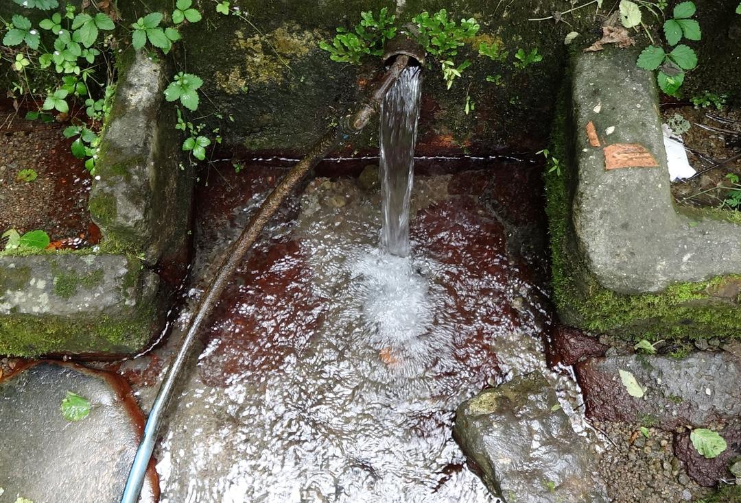 ÂI-Tat-collect-tukontim_760135_224308