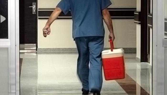 Büyük Ulusal Meclis Türkçe'de kabul edildi: Organ bağış süreçlerinde dönüşüm başlıyor! Organ bağış dönemi e-devlet aracılığıyla geliyor: bağışçıların akrabalara öncelik verecek …