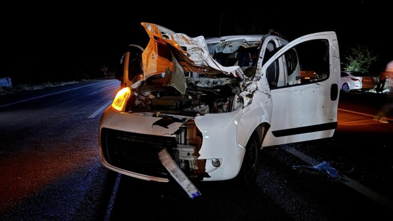 Bingöz'de ata çarpan arabada 1 kişi öldü