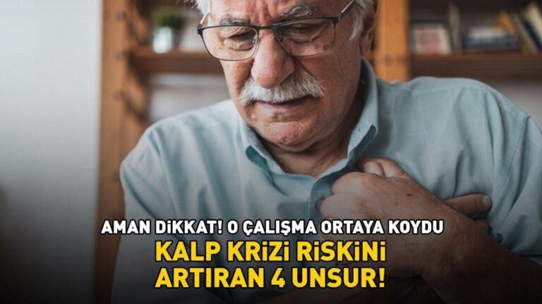 KALP RİSKİNİ ARTIRAN 4 FAKTÖR! Dikkat! O araştırma ortaya çıkardı!