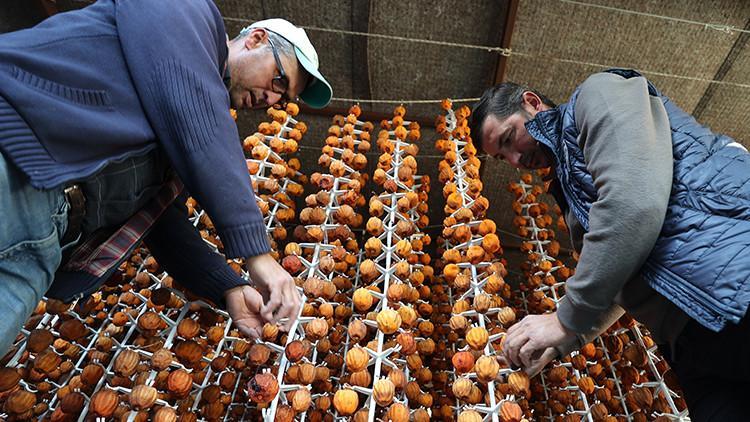 İki girişimci komşu, kurutulmuş hurmalarını yurt dışına satıyor.